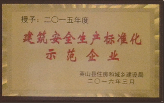 2015年建筑安全生产标准化示范企业